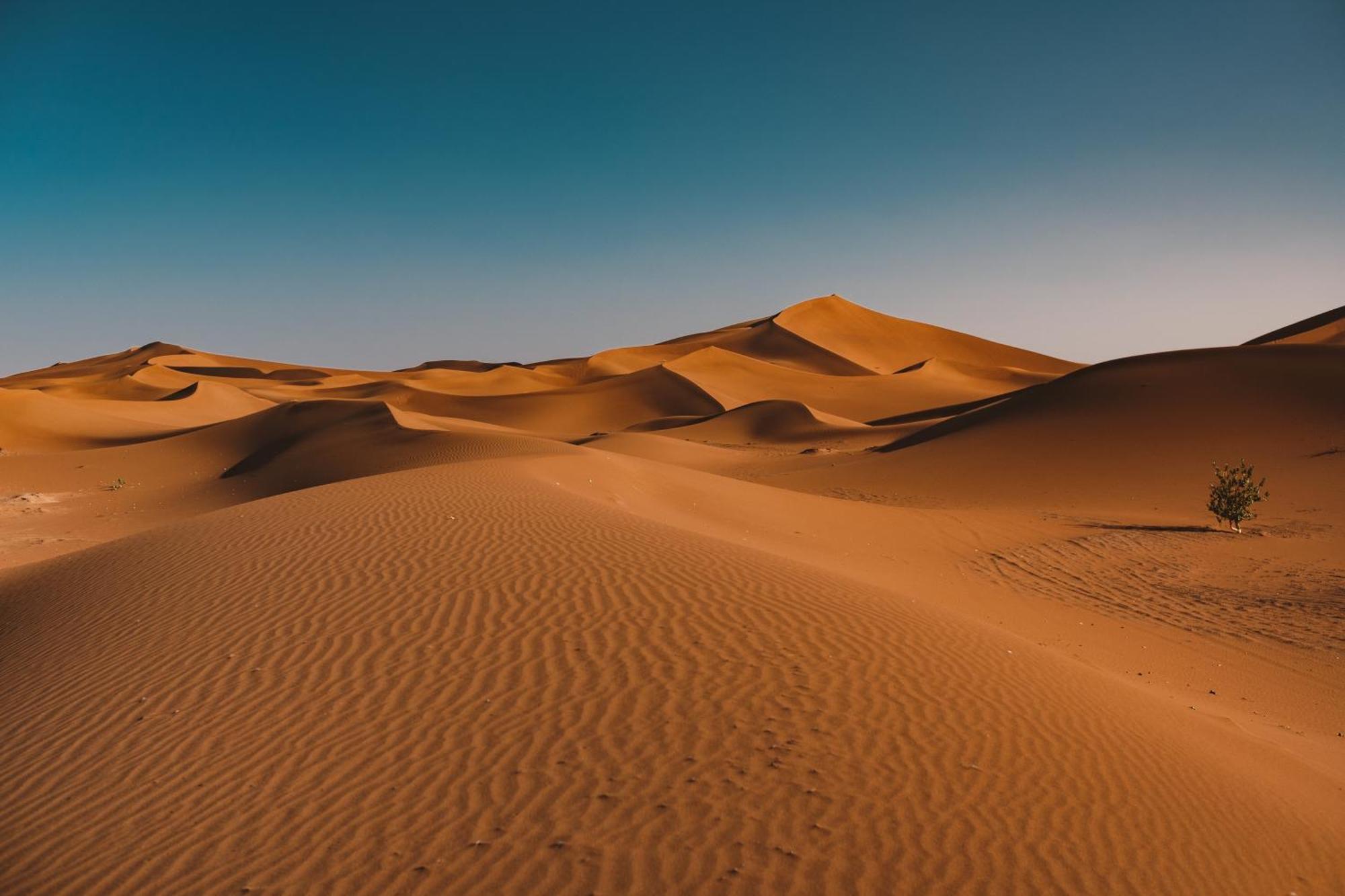 Mhamid Sahara Camp Activities - Le Chant Du Sable M'Hamid Exterior foto